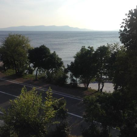 Apartment Marina Senj Senj  Exterior foto
